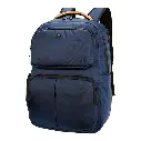 19.webp